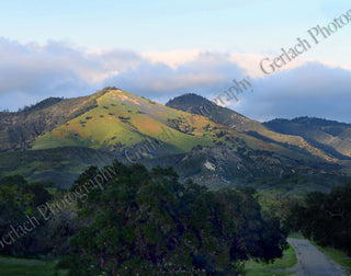 Grass Mountain Canvas