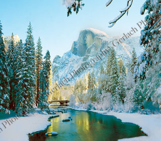 Half Dome, Yosemite Wood