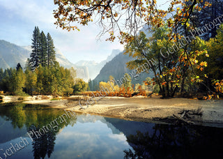 Summer Half Dome Yosemite Wood