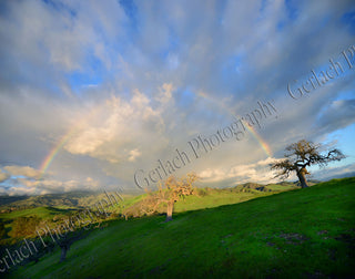 Santa Ynez Valley Rainbow Canvas