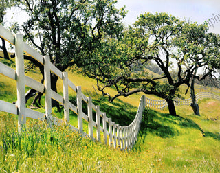 Santa Ynez Valley Fence Wood