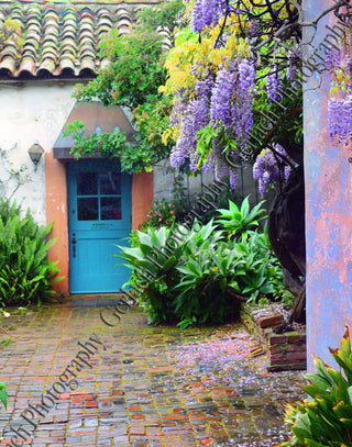 Wysteria Door Wood