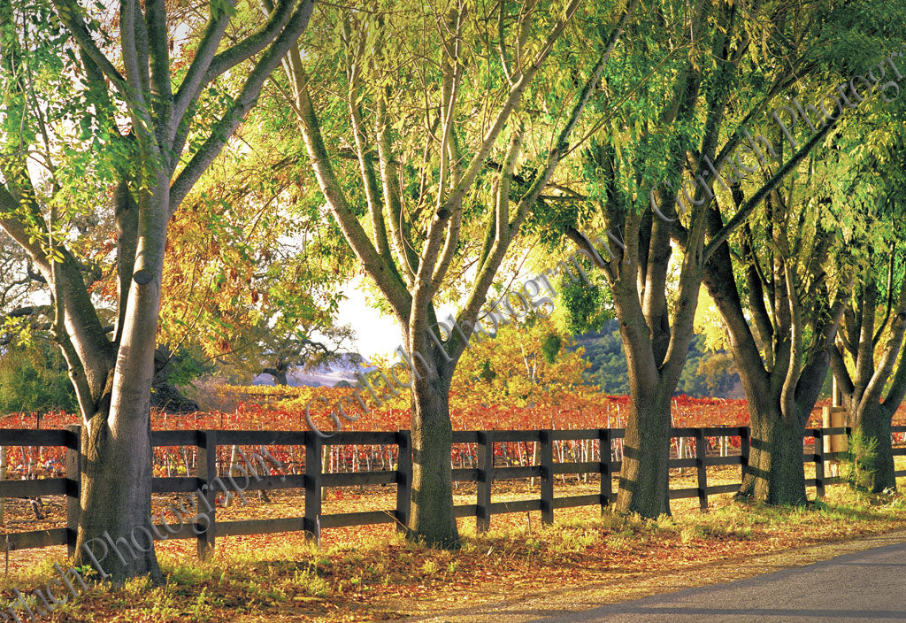 Autumn Fence Wood – Gerlach Photography