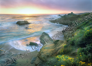 Carmel Sunset Canvas