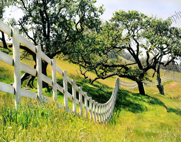 Santa Ynez Valley Fence